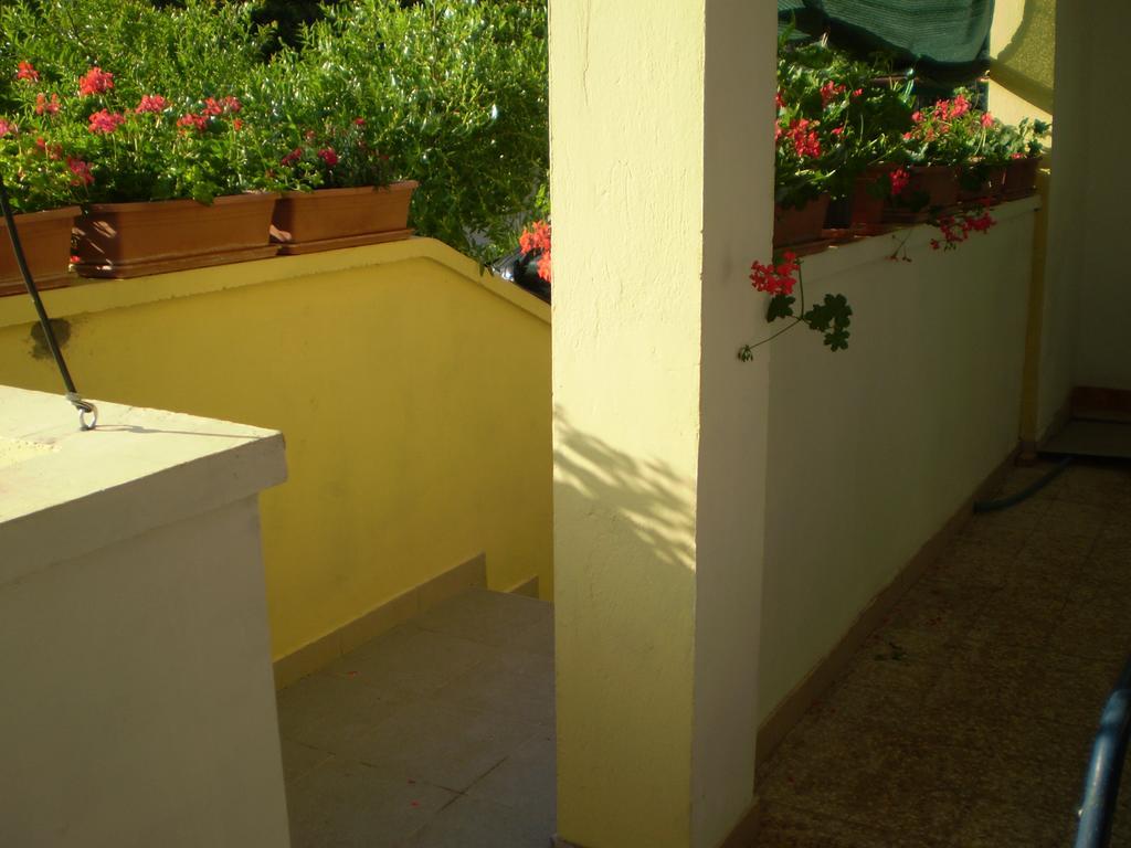 Apartments Kocijan Sukošan Exterior foto